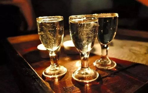 金樽黑酒 與講究者共飲，一場(chǎng)流動(dòng)的儀式